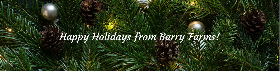 Christmas Tree Farm - Barry Farms, LLC - Harwinton, CT 860-567-0649